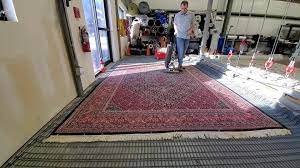 area rug cleaning process springer
