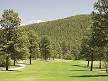 Golf New Mexico - A complete course guide to the land of enchantment