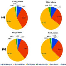 Relative Abundance Of Gut Bacterial Phyla In Children A