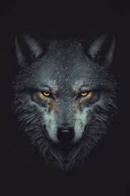 wolf 1440x2960 resolution wallpapers