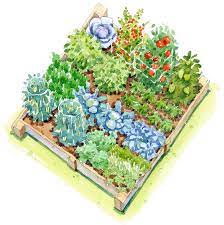 vegetable garden plans better homes