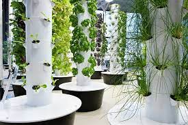 O Hare S Aeroponic Garden A Ticket To