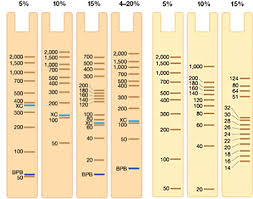 protein gel migration charts bio rad