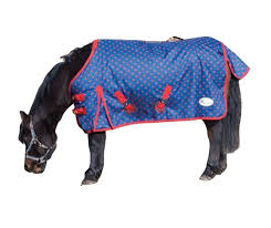outdoor rug for tiny ponies and foals