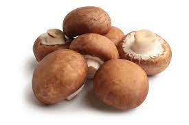 Fresh Brown Portobello Or Agaricus Mushrooms Stock Photo Image Of  gambar png