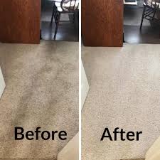 be green carpet cleaning