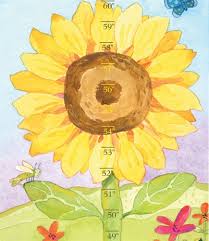 Eeboo Growing Like A Sunflower Growth Chart