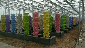 greenhouse garden farming 7 vertical
