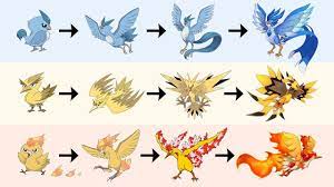 All Legendary Birds Evolution | Pokemon Gen 8 Fanart - YouTube