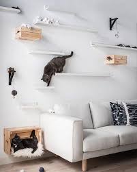 diy cat shelves
