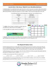 Set up a punnett square using the following information dihybrid cross from chapter 10 dihybrid cross worksheet answer key, source: Video Recap Of Dihybrid Cross By Amoeba Sisters