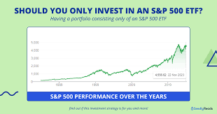 should you only invest in an s p 500 etf