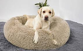 Great for barn, shed, porch, garage, under a. The Importance Of Choosing The Right Calming Dog Bed For Your Pet How Important