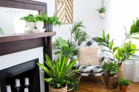 how to make faux plants look real