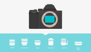 what is a mirrorless camera b h explora