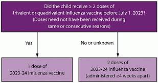 Criteria For Flu Vaccine 2023 gambar png