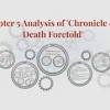Gender Analysis of Chronicle of a Death Foretold