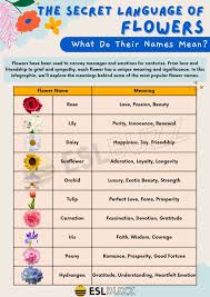 beautiful flower names for your garden