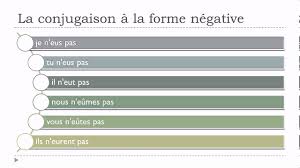 French Conjugation Negative Form Avoir