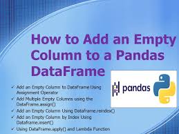 empty column to a dataframe