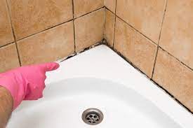to clean and get rid of mold
