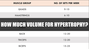 volume is best for hypertrophy training