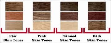 Hair Color Chart Skintone Hair Garnier Hair Color
