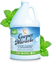 carpet miracle carpet cleaner shoo