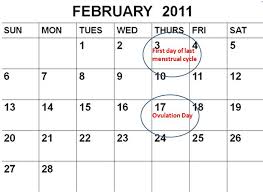 Pregnancy Weeks Calendar Under Fontanacountryinn Com