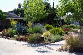 california front yard landscaping ideas
