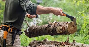Forestry Tools Saws Pruning Log