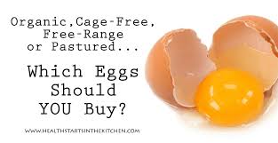 organic cage free free range or