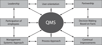 quality management system qms