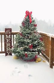 decorate an outdoor tree