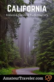 redwood national park itinerary big