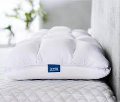 best pillow company flash s 55