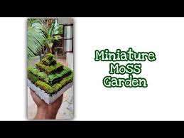 Miniature Garden Diy With Thermocol