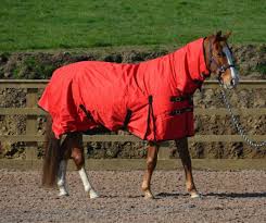combo heavyweight turnout rug 600d