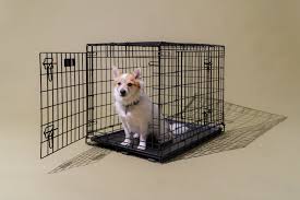 the 4 best dog crates of 2023 reviews