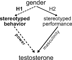 Violence against women (vaw) in south africa remains rampant,. Effects Of Gendered Behavior On Testosterone In Women And Men Pnas