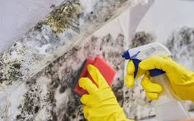 Cleaning Mold Off Basement Walls A