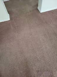 carpet cleaning kingwood tx supreme