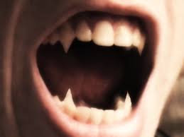 Image result for vampire teeth