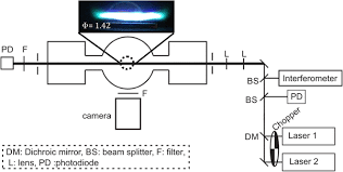a schematic of the experimental set up
