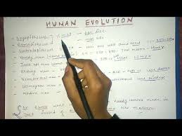 Trick To Learn Human Evolution Stages Of Human Evolution
