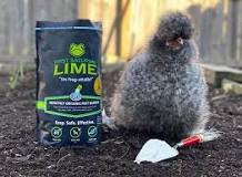 can-i-use-lime-in-my-chicken-run