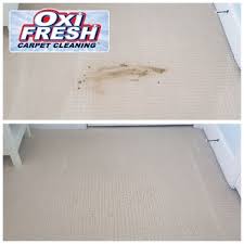 oxi fresh carpet cleaning 39 photos