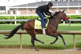 Image result for kentucky derby images 2016 ago