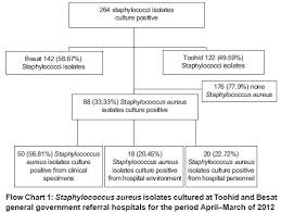 Molecular Epidemiology Survey Of Staphylococcus Aureus