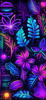 colorful neon wallpapers neon
